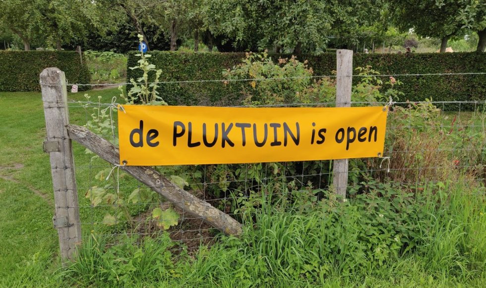 kwekerij en pluktuin van buggenum