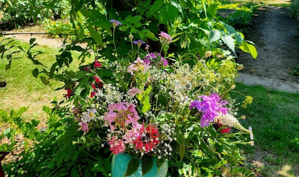 kwekerij en pluktuin van buggenum