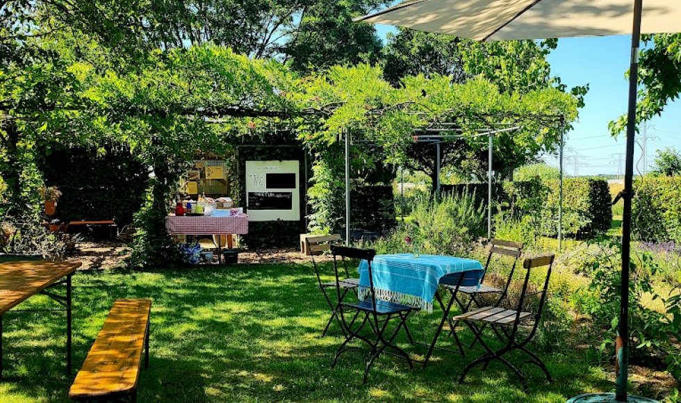 kwekerij en pluktuin van buggenum