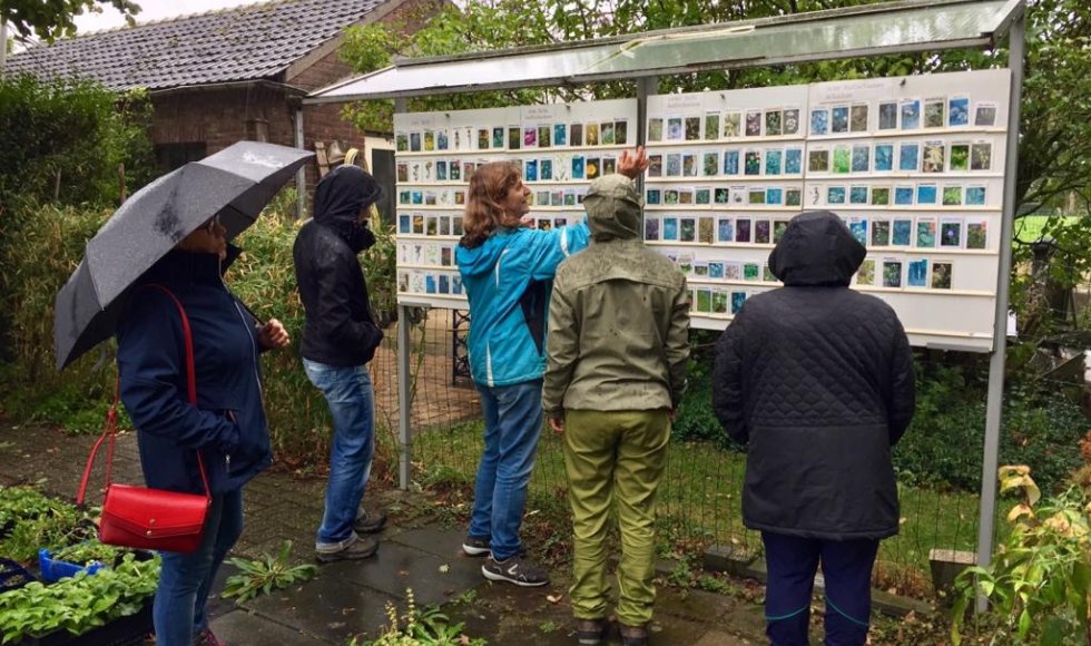 cadier en keer Wilde Planten Kwekerij 2