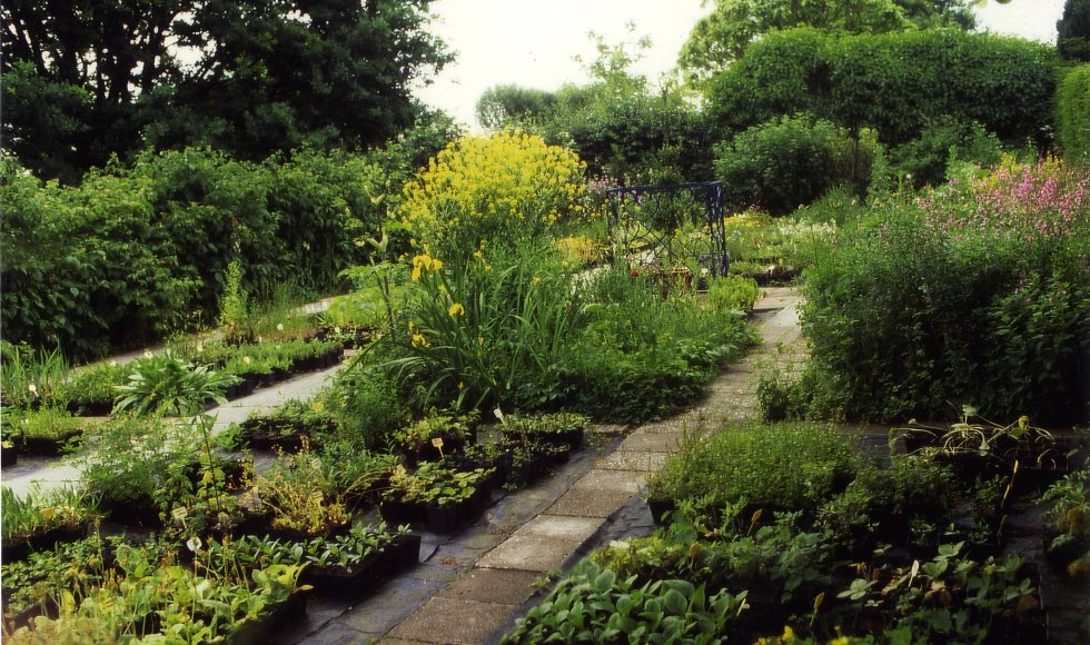 cadier en keer Wilde Planten Kwekerij 2