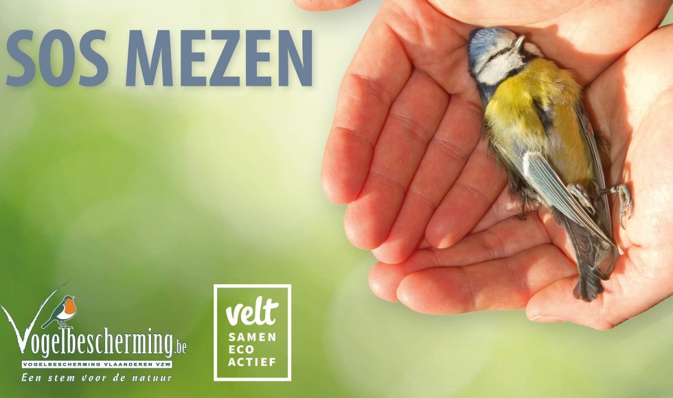 Campagnebeeld SOS Mezen