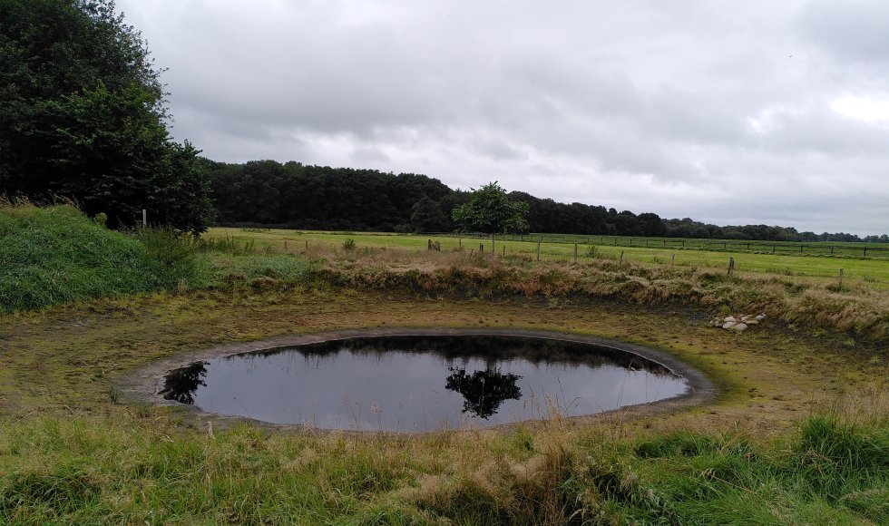 grolloo eetbare tuin de koolgoorn 4