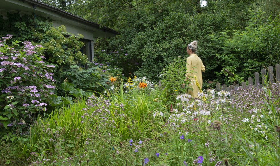 Ecologische tuin: van aanleg tot beheer