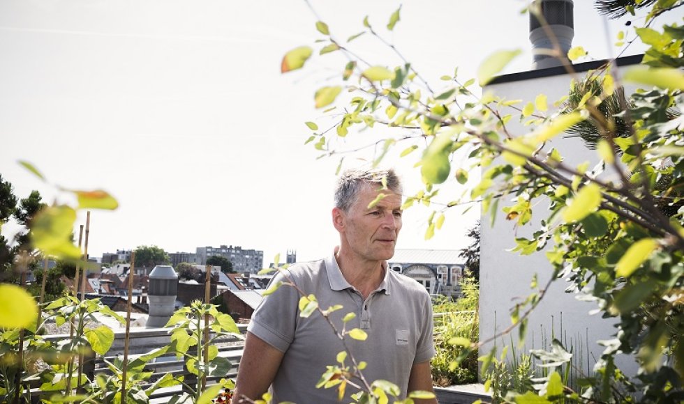 Daktuin in Antwerpen