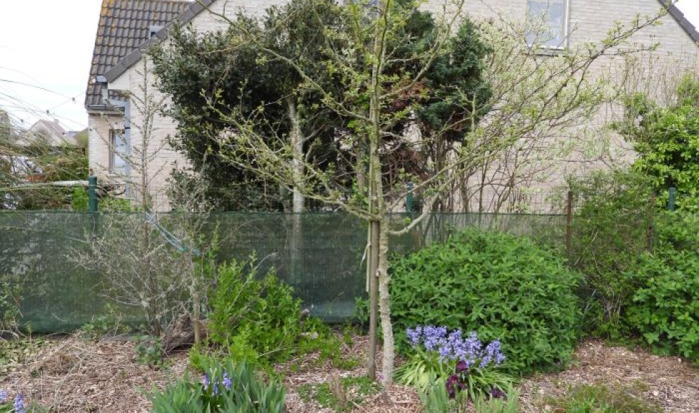 Arnold Melis_De eetbare Siertuin