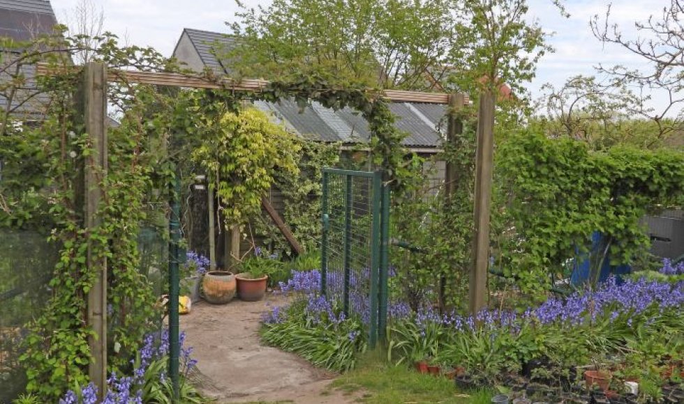 Arnold Melis_De eetbare Siertuin