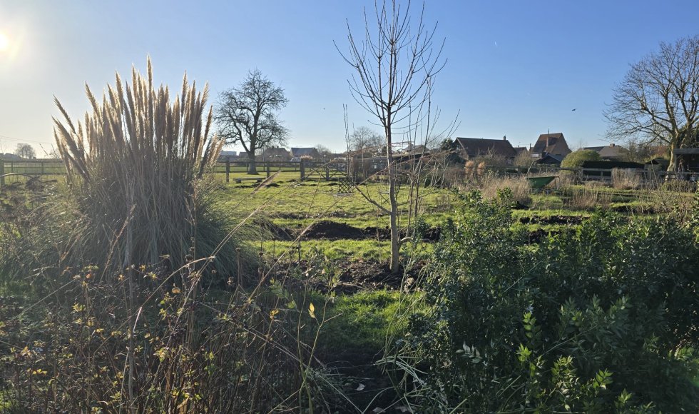 Jade's bloemenpluktuin