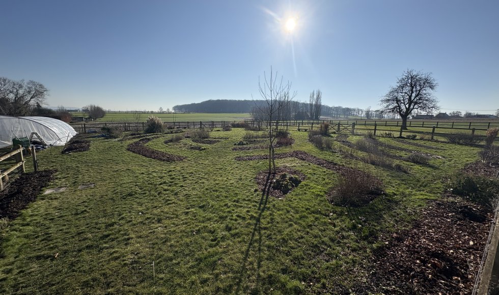 Jade's bloemenpluktuin