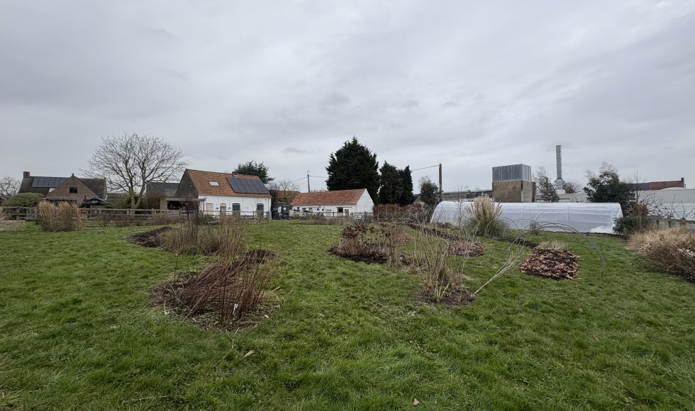 Jade's bloemenpluktuin