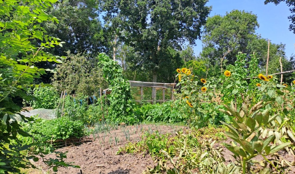 ecotuin familie de roo