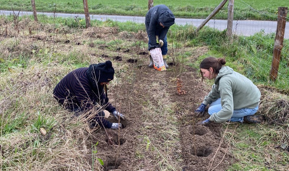 campagne de bourangt