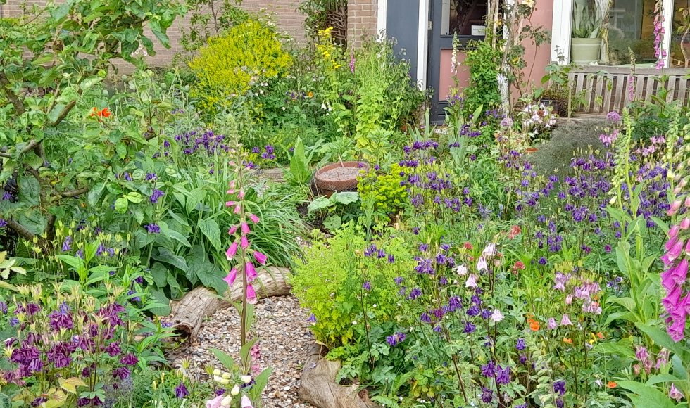 Dokkum_experimenteertuin_Bianca in 't groen