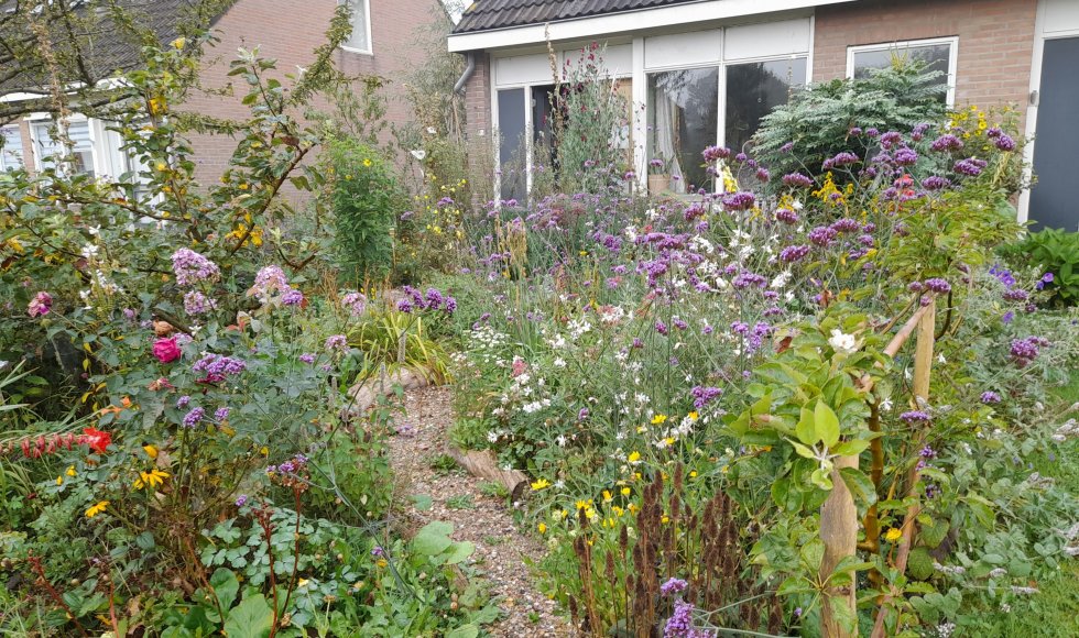 Dokkum_experimenteertuin_Bianca in 't groen