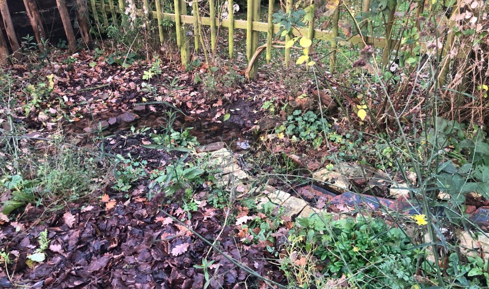 Dokkum_experimenteertuin_Bianca in 't groen