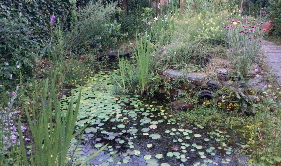 Driebergen, natuurverkenner