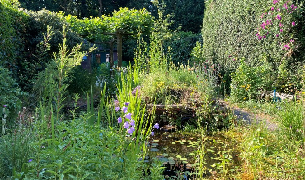 Driebergen, natuurverkenner