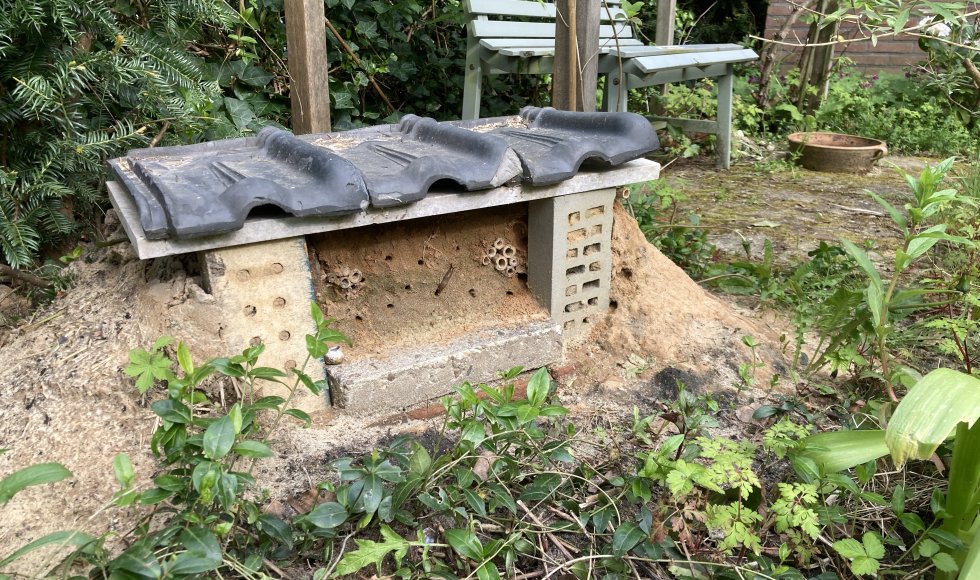 Driebergen, natuurverkenner