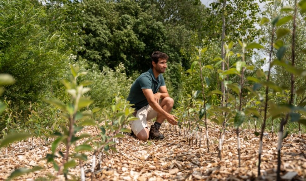 Vloet Permafruit_2026
