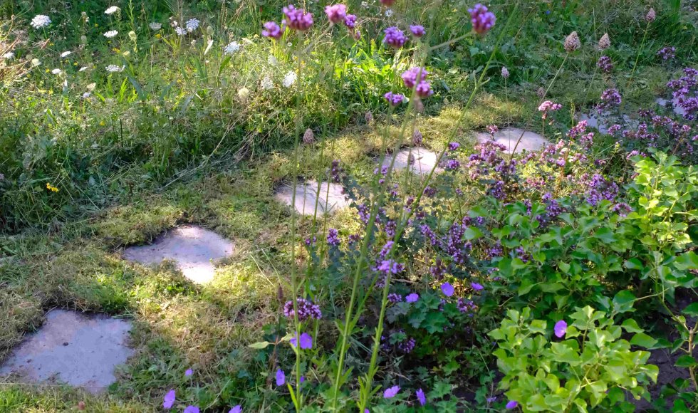 Jasmine De Brauwer_Zoersel