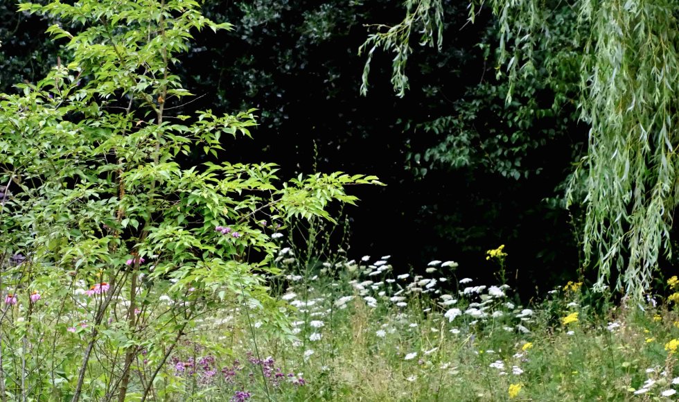 Jasmine De Brauwer_Zoersel