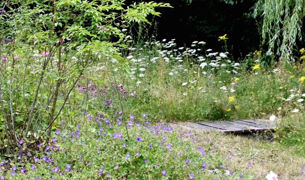 Jasmine De Brauwer_Zoersel