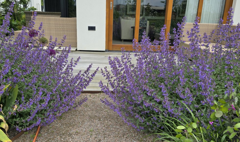 Ecotuin Madelon en Robert 10