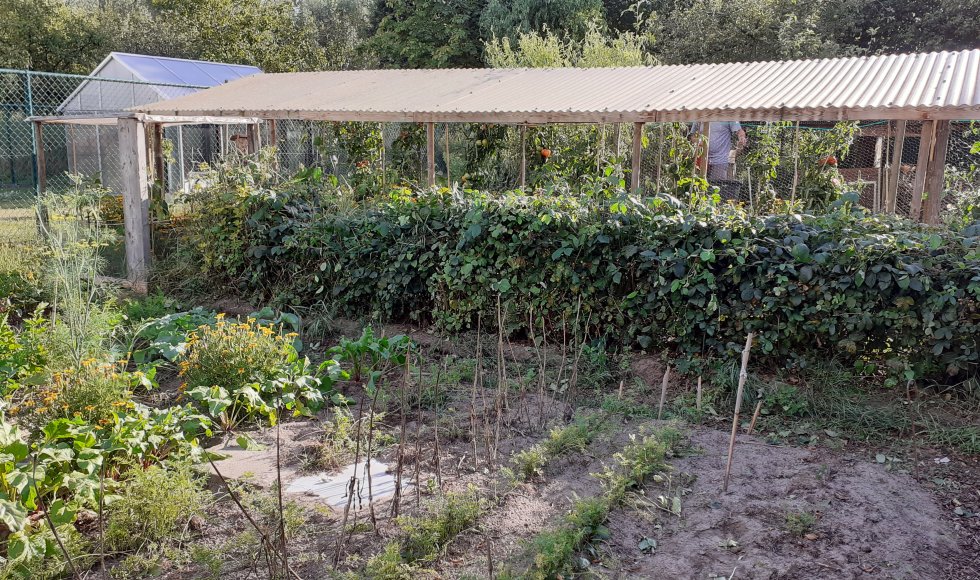 Voorhoven ecotuin bart torfs 2