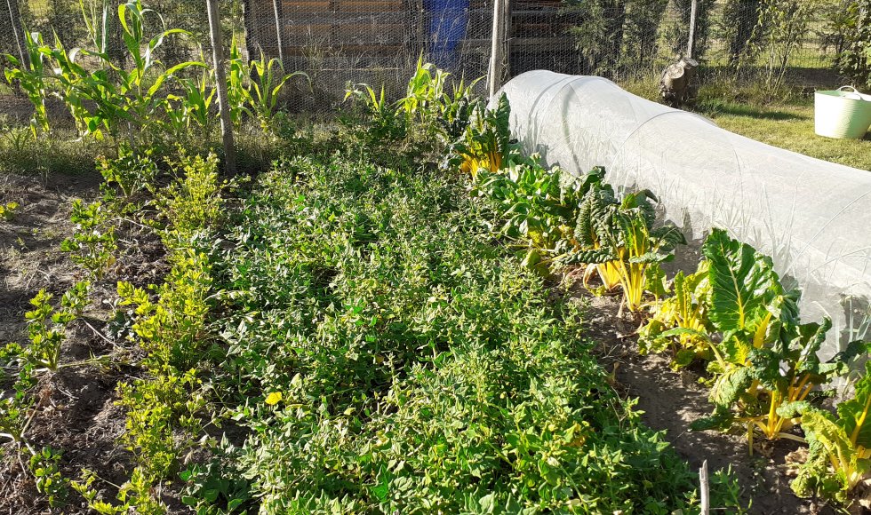 Voorhoven ecotuin bart torfs  3