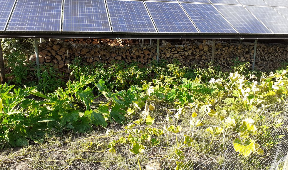 Voorhoven ecotuin bart torfs 4