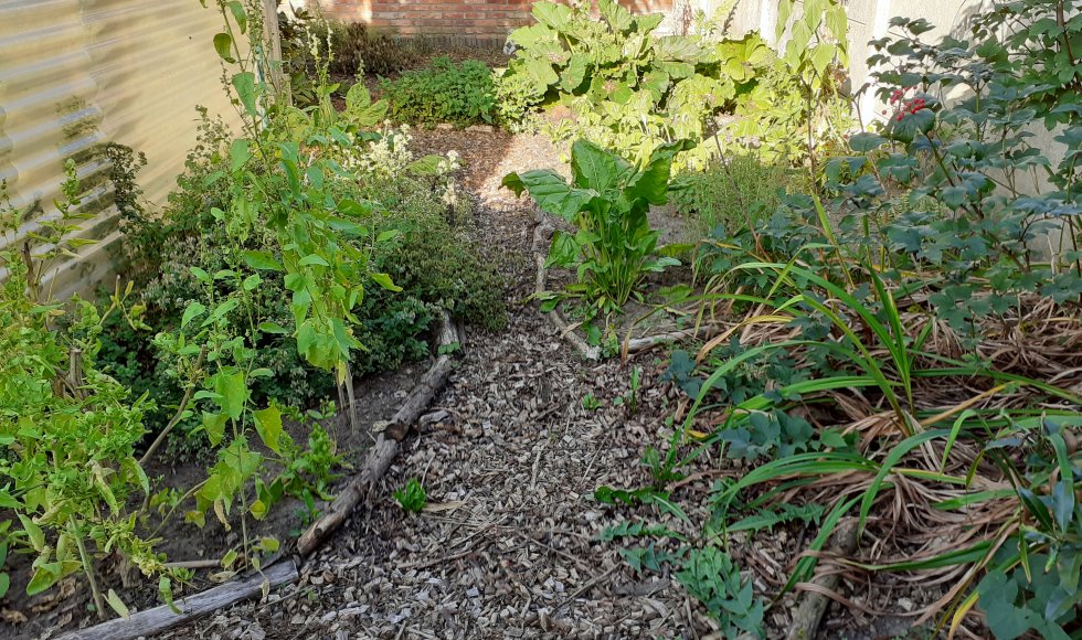 Voorhoven ecotuin bart torfs 5