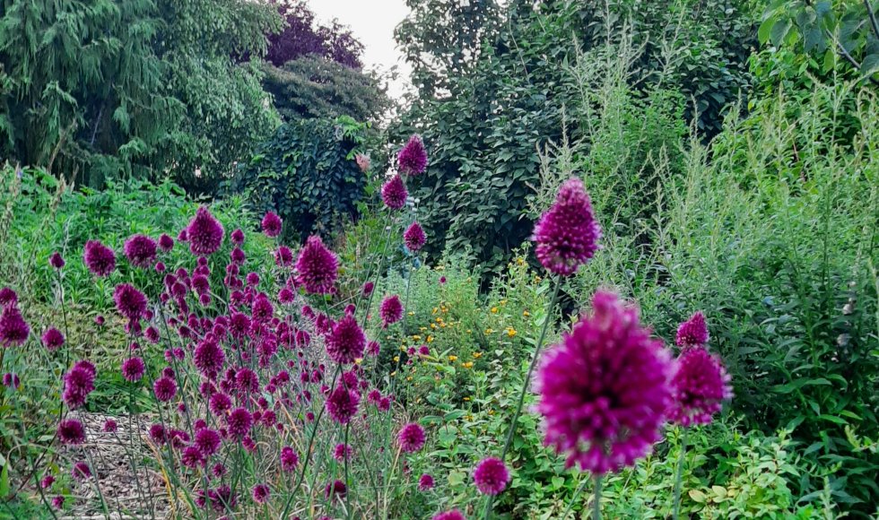 ecotuin van andrea en jef4