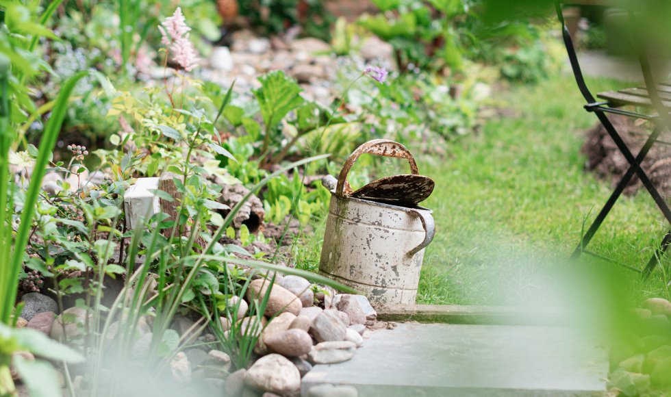 SoulSprout WelZijn tuin