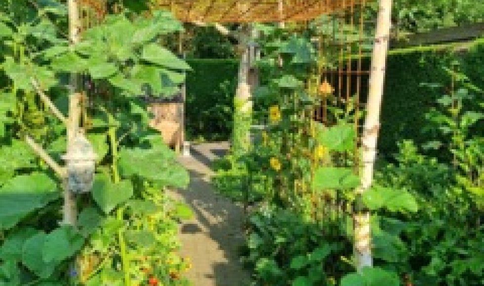 SoulSprout WelZijn tuin