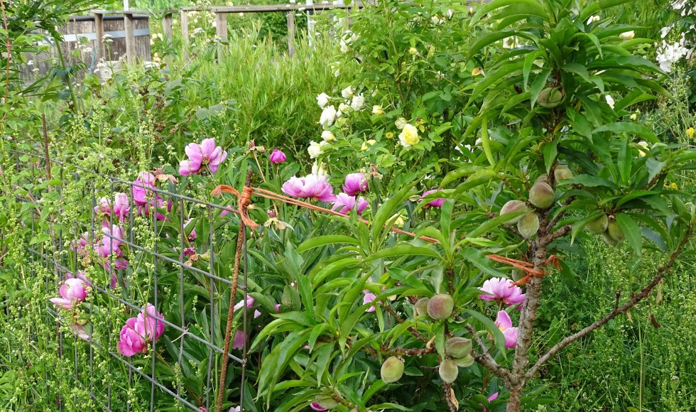 Elly Pouwels_Broekstraat_Oirschot