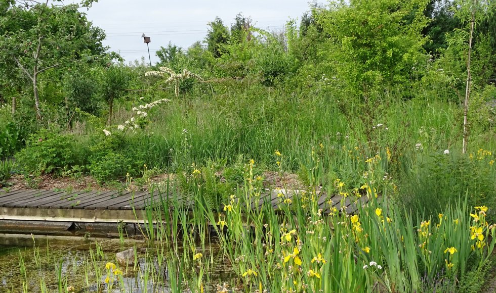 Elly Pouwels_Broekstraat_Oirschot