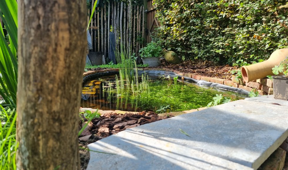 Ecotuin van Bo en Pieter