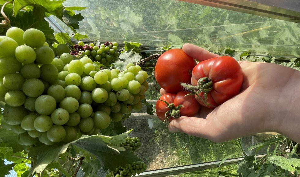 Emmadorp Ecotuin van de Familie 3