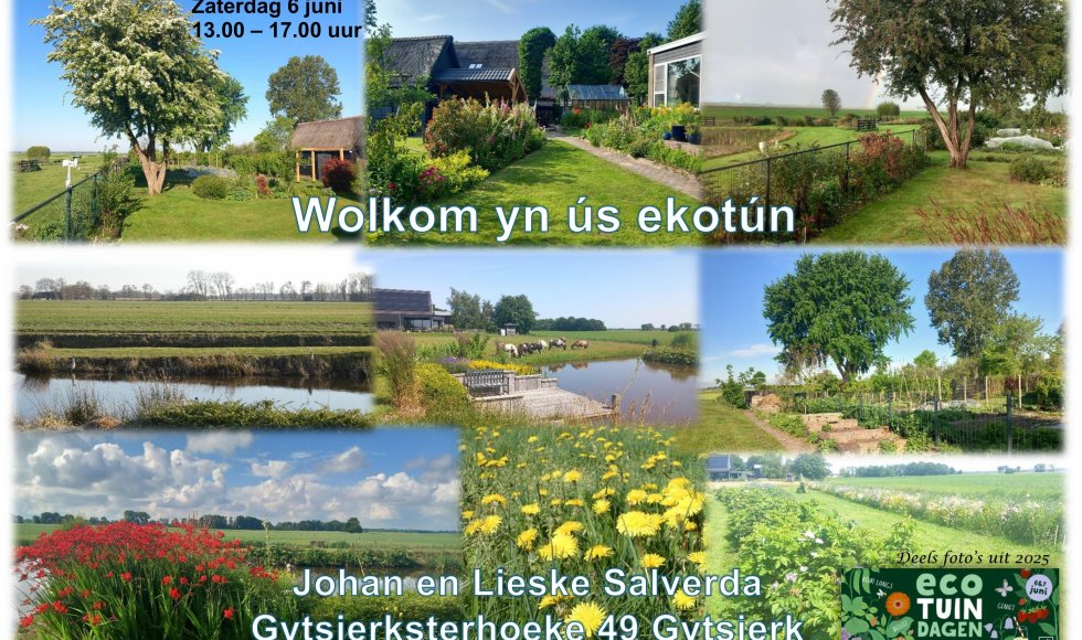Salverda collage