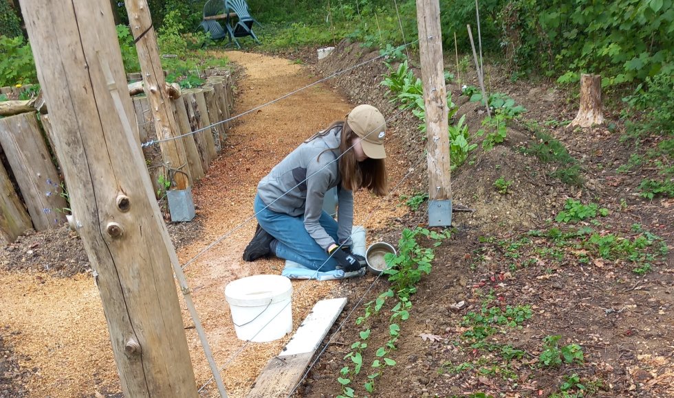 Resie Voncken  Landje