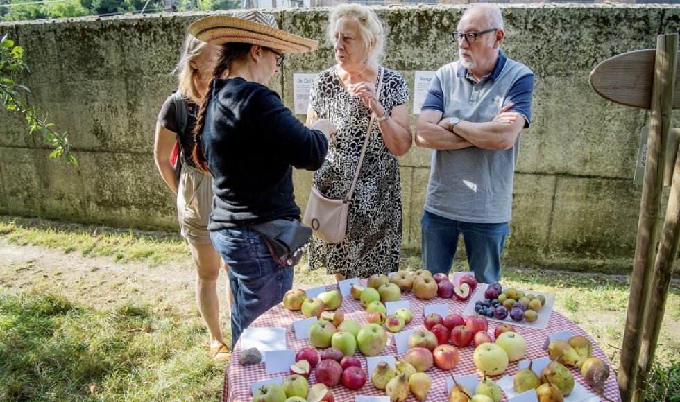 Fruitboomgaard in Etterbeek