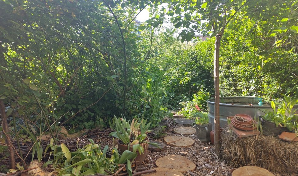 Plantenexplosie@Heydeken