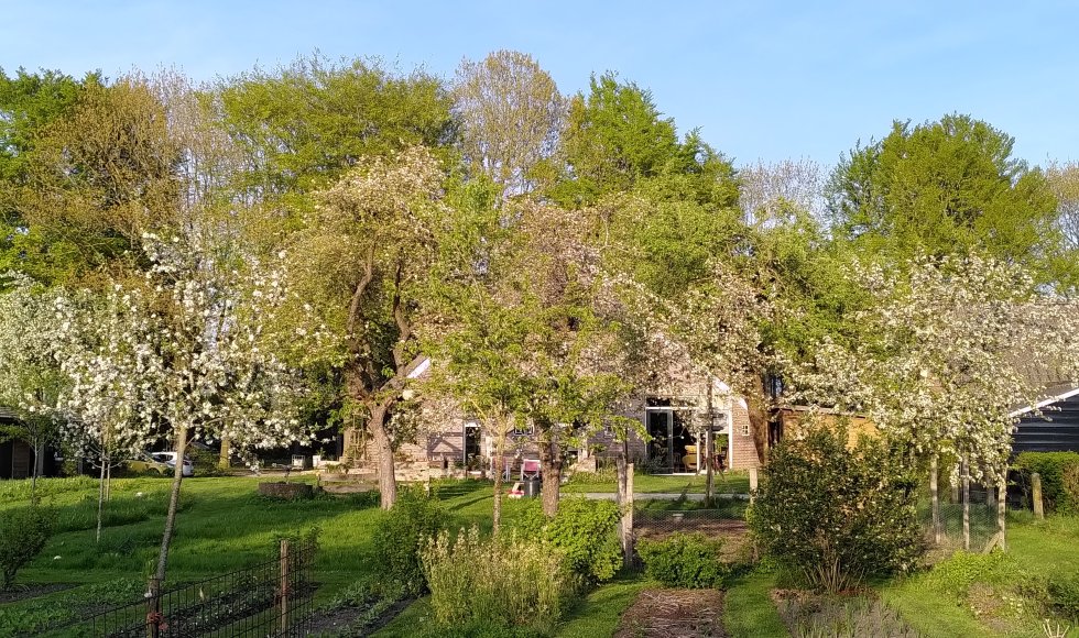 grolloo eetbare tuin de koolgoorn 1