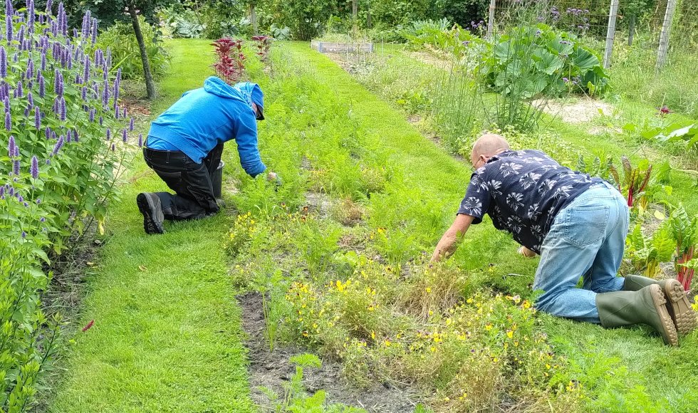grolloo eetbare tuin de koolgoorn 2
