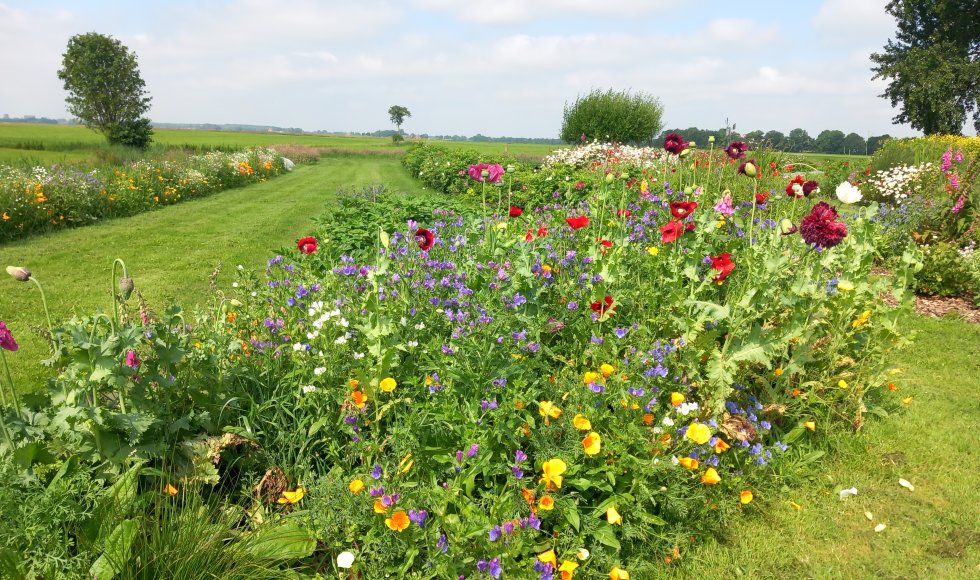 ecotuin van Johan en Lieske Salverda