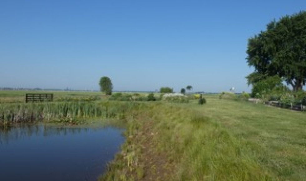 ecotuin van Johan en Lieske Salverda
