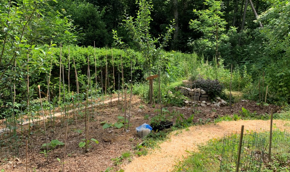 Resie Voncken  Landje