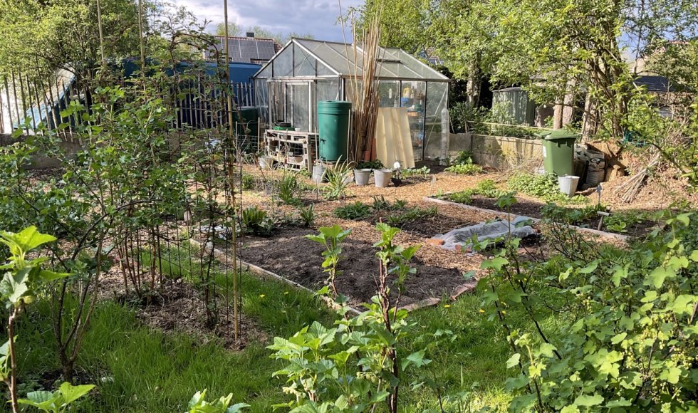 interessante biodiverse tuin van de fam de broeck