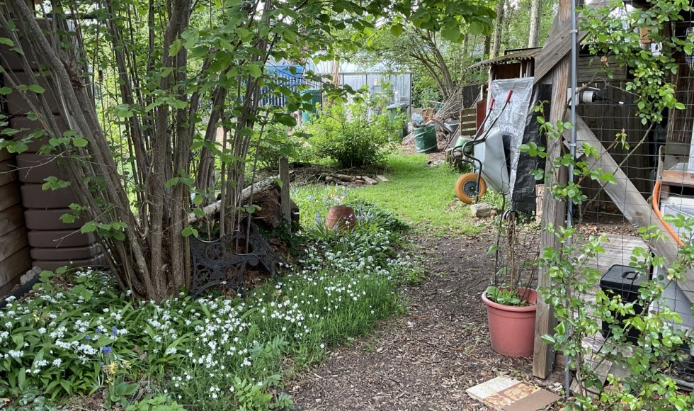 interessante biodiverse tuin van de fam de broeck