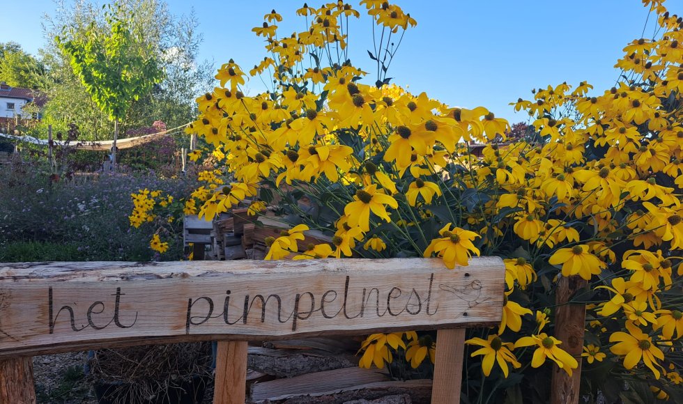 Het Pimpelnest